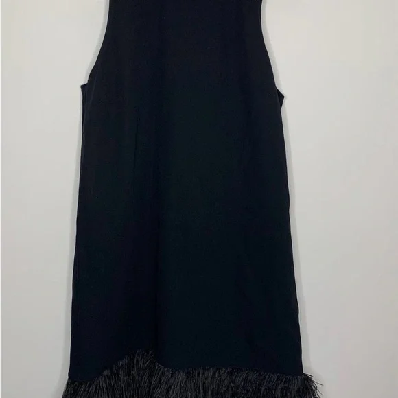 J. CREW COLLECTION $350
BLACK CREPE FEATHER TRIM
SHIFT DRESS - Picture 5 of 11